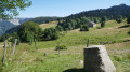 Borne au Lion