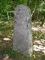 Borne forestière