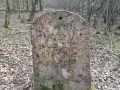 Les Forts du Haut Bois et du Bois d'Oye Les Forts du Haut Bois et du Bois d'Oye