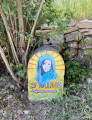Borne