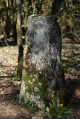 Site de Baulme-la-Roche