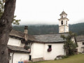 Bosco/Gurin