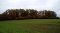 Bosquet