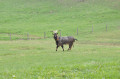 De Brudon à Sauze