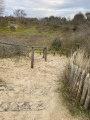 Sentier dans les dunes