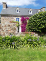 Bougainvillers à Loguivy