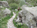 Lacs des Millefonts - Col du Barn Lacs des Millefonts - Col du Barn