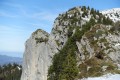 Bouquetin