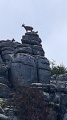 El Torca El Torca