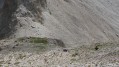 Bouquetins entre le col sans nom à l'Ouest de la crête de Moutouze et le lac Sorcier