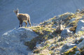 Au pied du Grand Combin