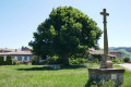 Boussoure