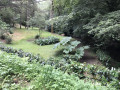 Bout de jardin