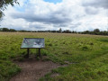 Brandononium Roman Fort site