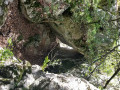 Lac de Sainte-Croix - Tour de Bauduen