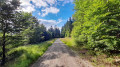 Breiter Schotterweg zwischen Platte und Nußhardt
