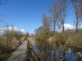 Brenner Moor Rundweg