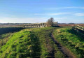 Sefton Meadows