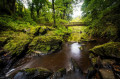 Bridge over the river