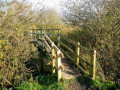 Bridge to Canal