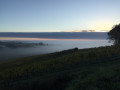 Brouillard sur la vallée de la Garonne