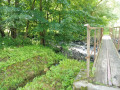 Brücke Brücke