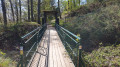 Brücke zur Burg Tannenberg