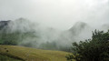 Brume du matin