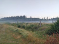 Circuit de Diane et d'Actéon en Forêt Domaniale de Senonches