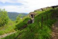 Les tranchées Nord du Hartmannswillerkopf