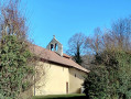 Burcin