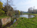 Bure River Walk from Coltishall to Brampton
