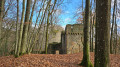 Burgruine Rodenstein