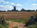 Burnham Overy Staithe windmill from the Burnham Norton side