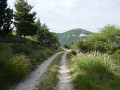 La piste