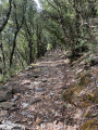 Olargues