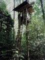 Cabane dans la forêt Cabane dans la forêt