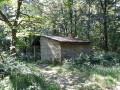 Cabane dans la forêt
