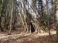 Cabane dans les bois