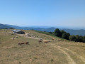 Cabane de Bladas