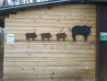 Cabane de chasse
