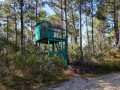 Cabane de chasseurs