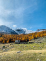 Plateau de Sestrière et cabane de la Braissa avec retour par Gianto