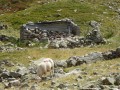 Cabane de Tirière