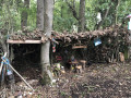 Cabane des enfants Cabane des enfants