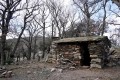 Cabane en forêt