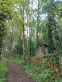 cabane en sous bois