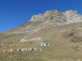 Cabane Laiterine