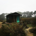 Cabane sur une plate