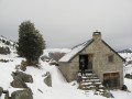 Cabane